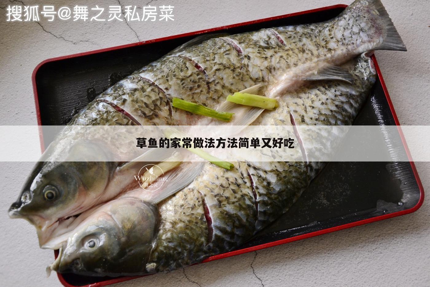 （草鱼怎么做才好吃）草鱼怎么做才好吃家常做法视频草鱼泡饼怎么做
