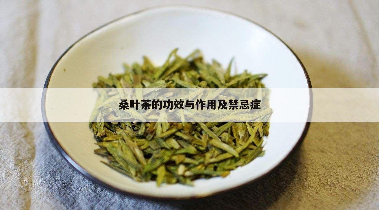 桑叶茶的功效与作用及禁忌症