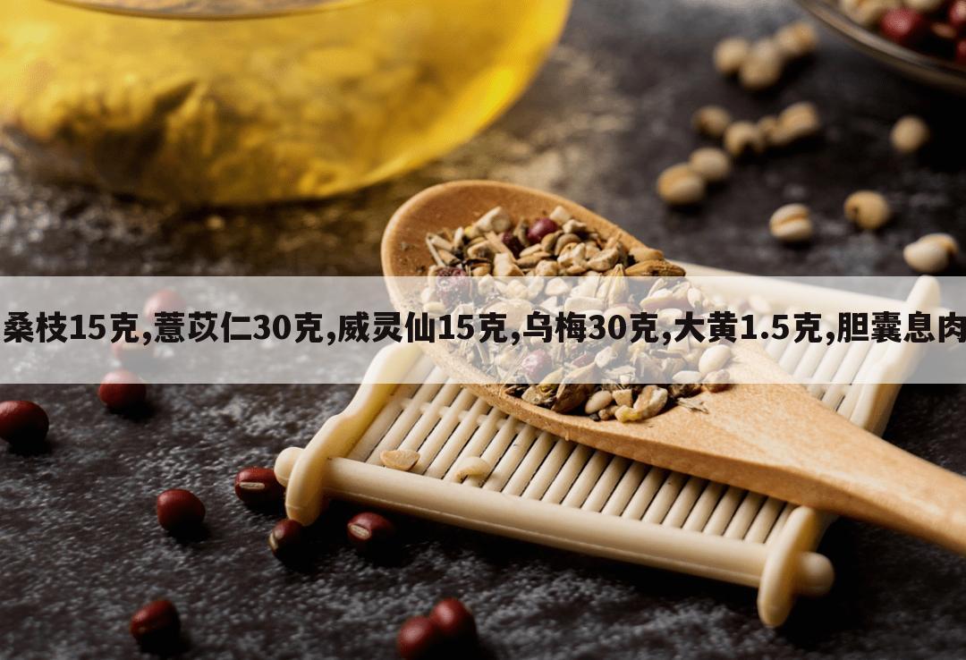 桑枝15克,薏苡仁30克,威灵仙15克,乌梅30克,大黄1.5克,胆囊息肉