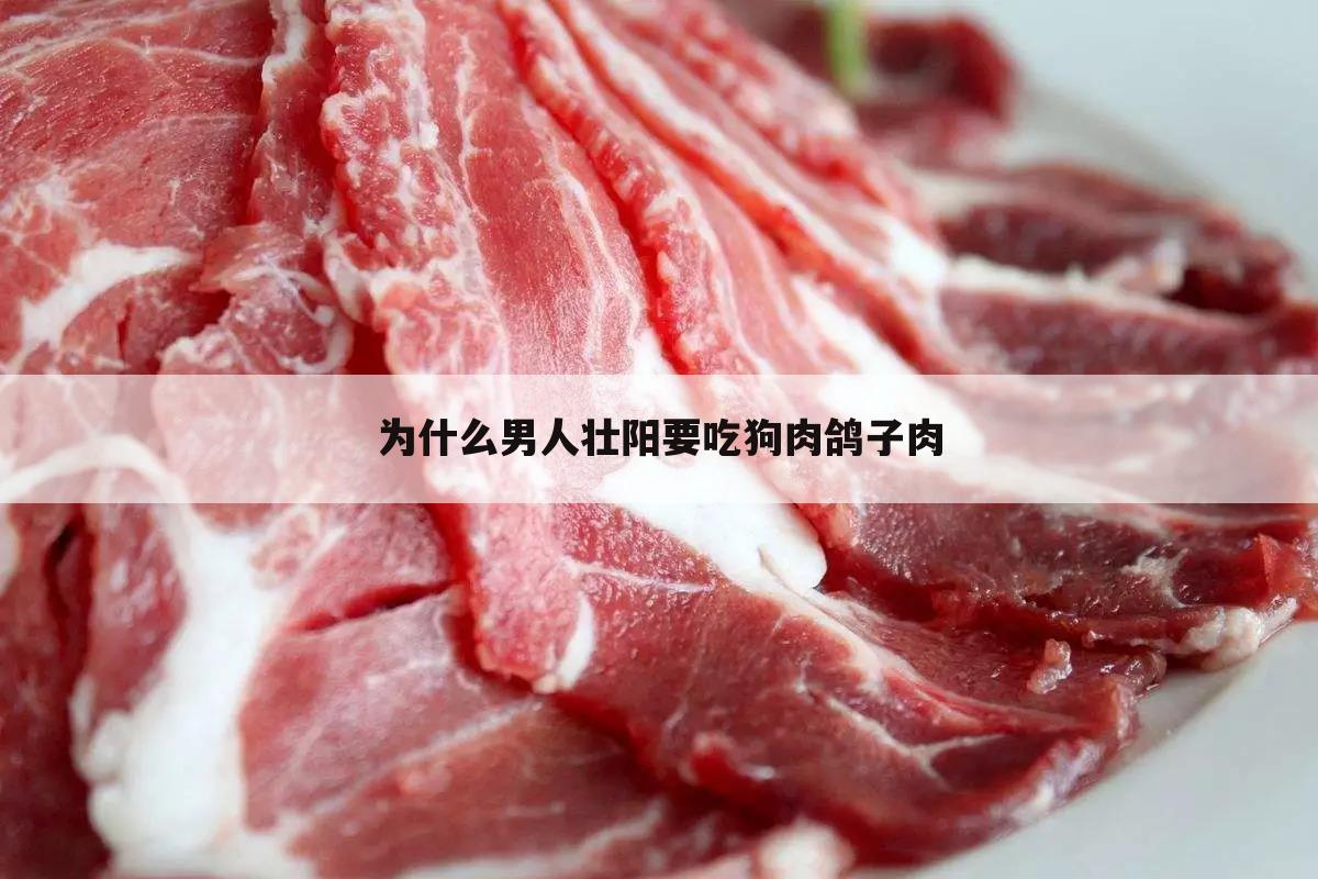 为什么男人壮阳要吃狗肉鸽子肉