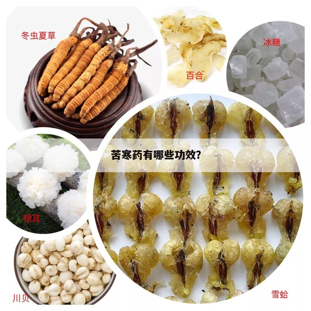苦寒药有哪些功效?