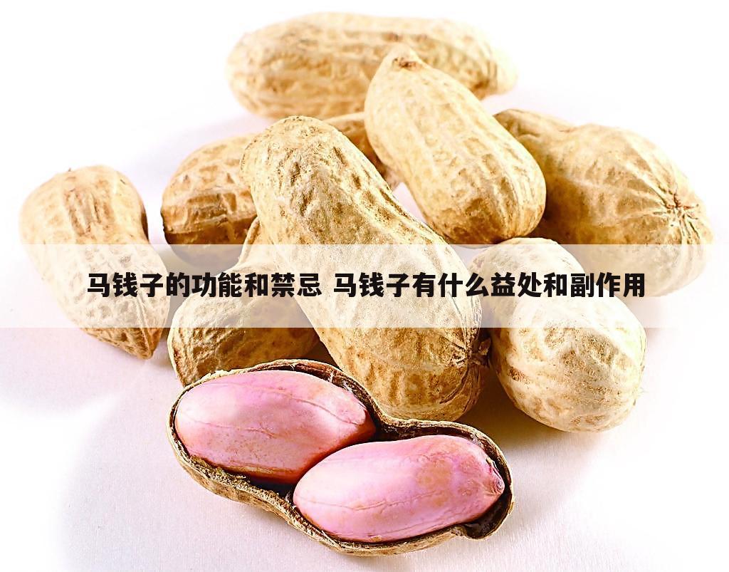 马钱子的功能和禁忌 马钱子有什么益处和副作用