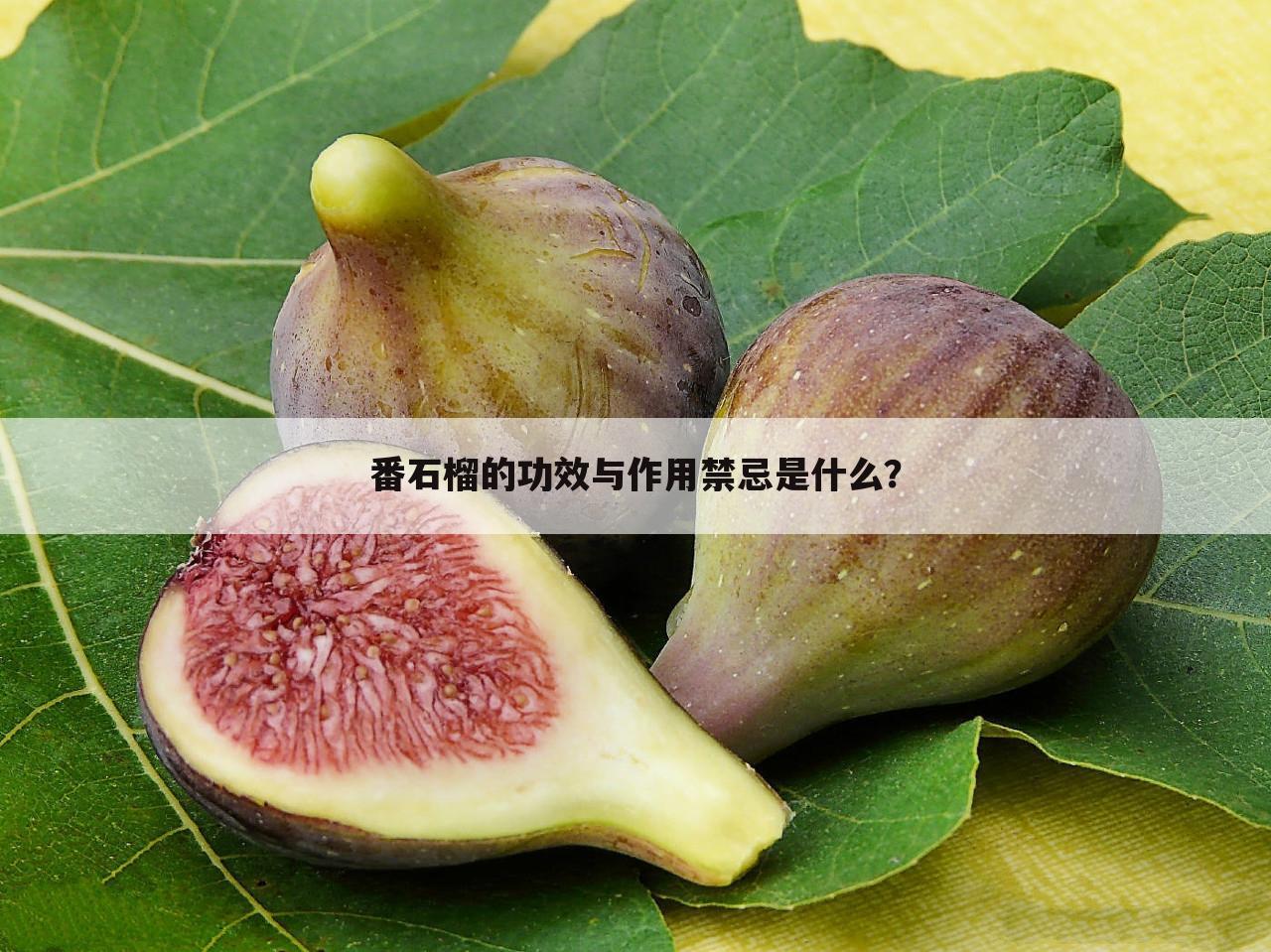 番石榴的功效与作用禁忌是什么？