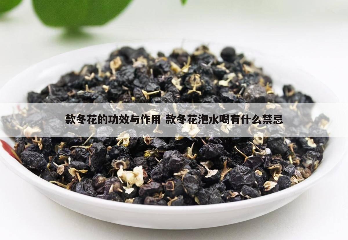款冬花的功效与作用 款冬花泡水喝有什么禁忌