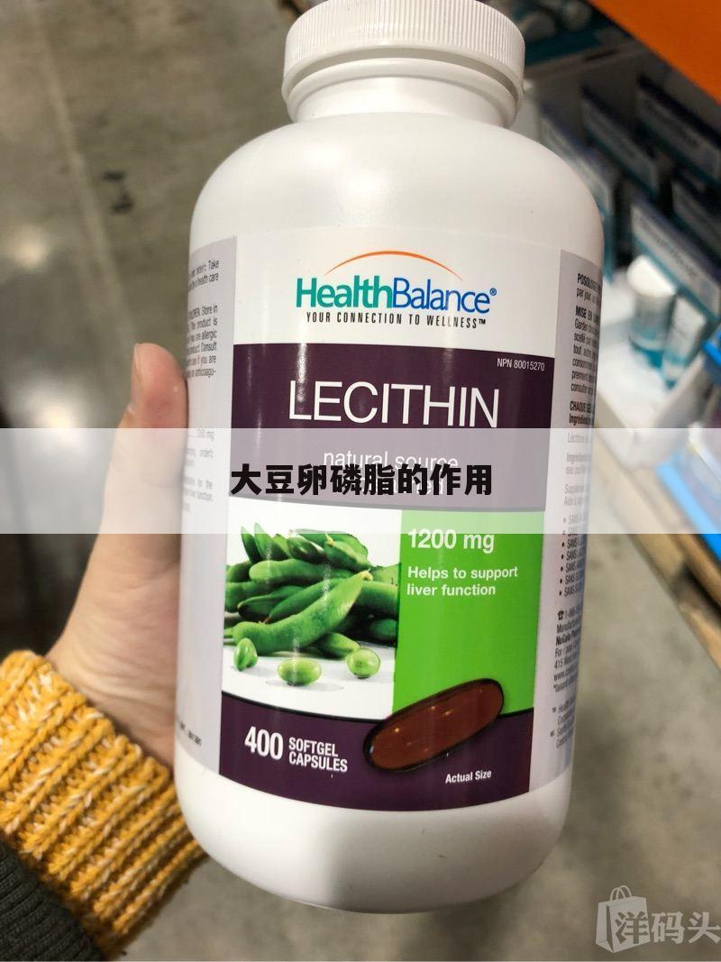 大豆卵磷脂的作用