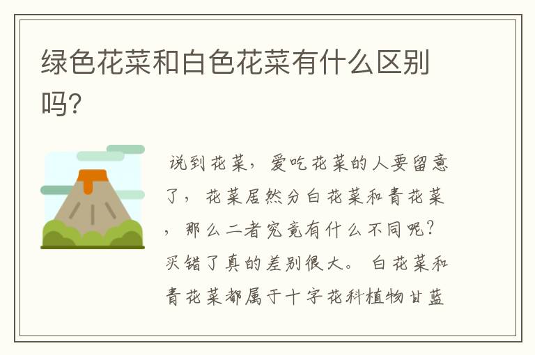 绿色花菜和白色花菜有什么区别吗？