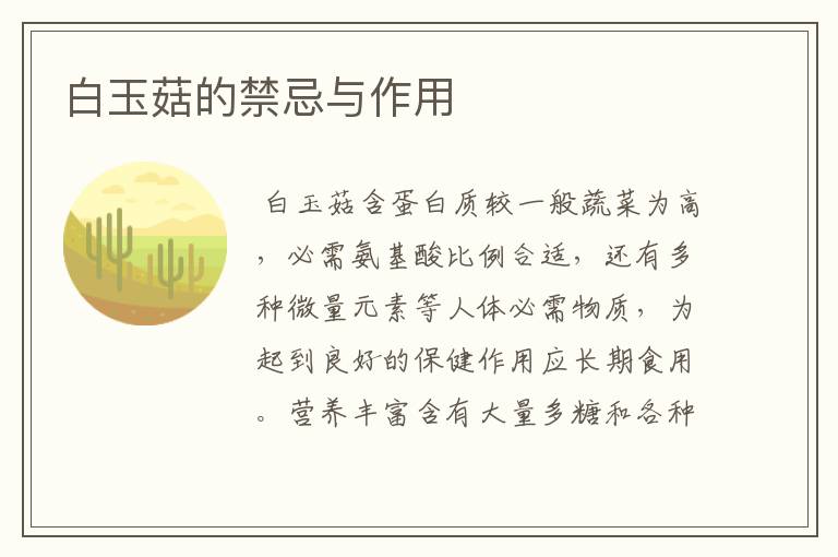 白玉菇的禁忌与作用