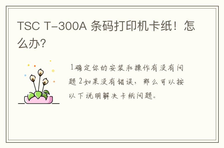 TSC T-300A 条码打印机卡纸!怎么办?