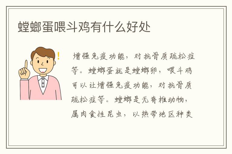 螳螂蛋喂斗鸡有什么好处