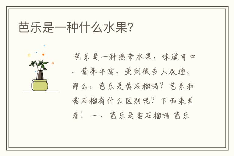 芭乐是一种什么水果？