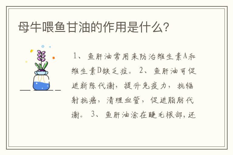 母牛喂鱼甘油的作用是什么？