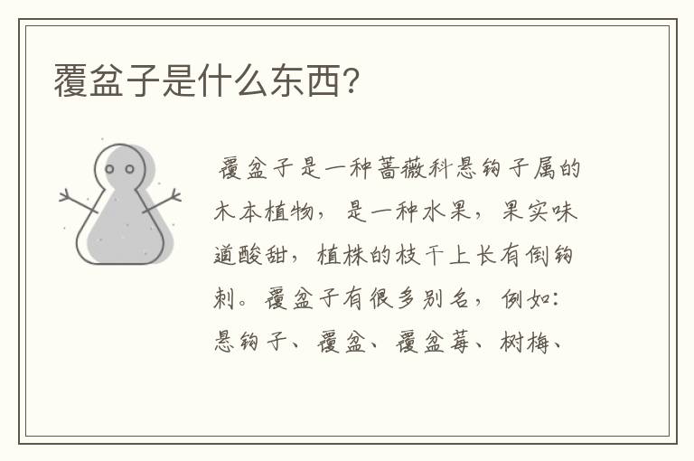 覆盆子是什么东西?