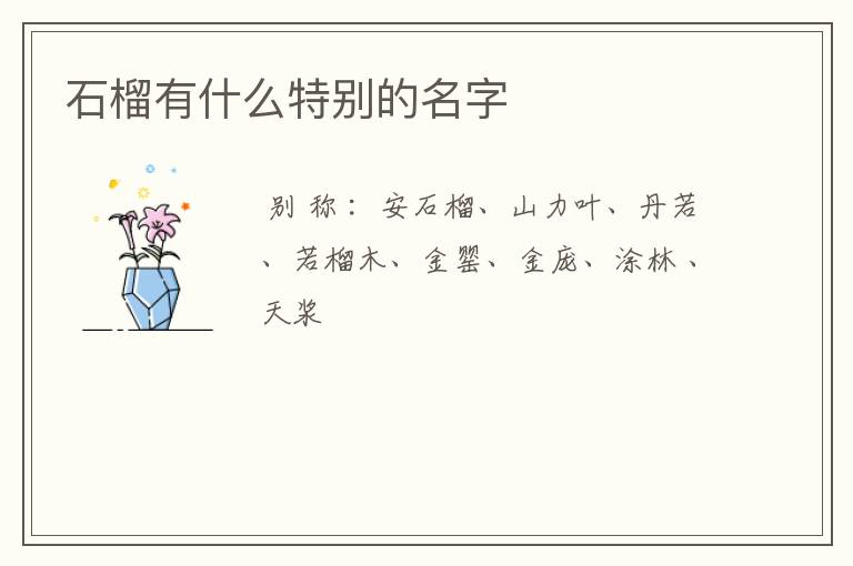 石榴有什么特别的名字