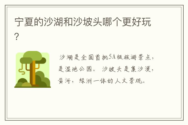 宁夏的沙湖和沙坡头哪个更好玩?