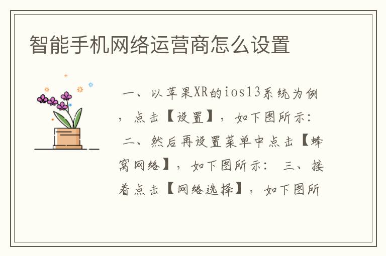 （智能手机网络设置）智能手机如何进行网络设置