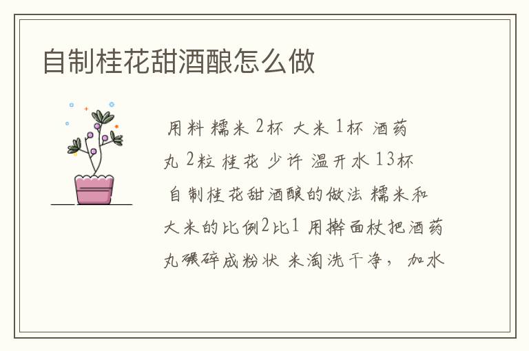 自制桂花甜酒酿怎么做