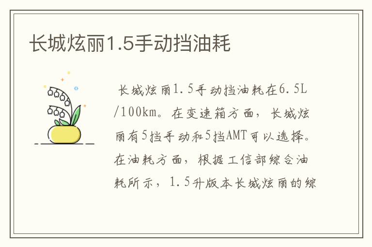 长城炫丽1.5手动挡油耗