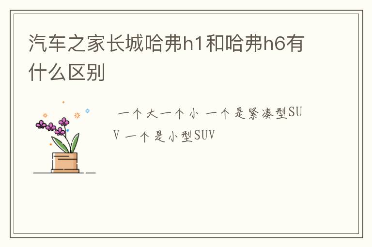 汽车之家长城哈弗h1和哈弗h6有什么区别
