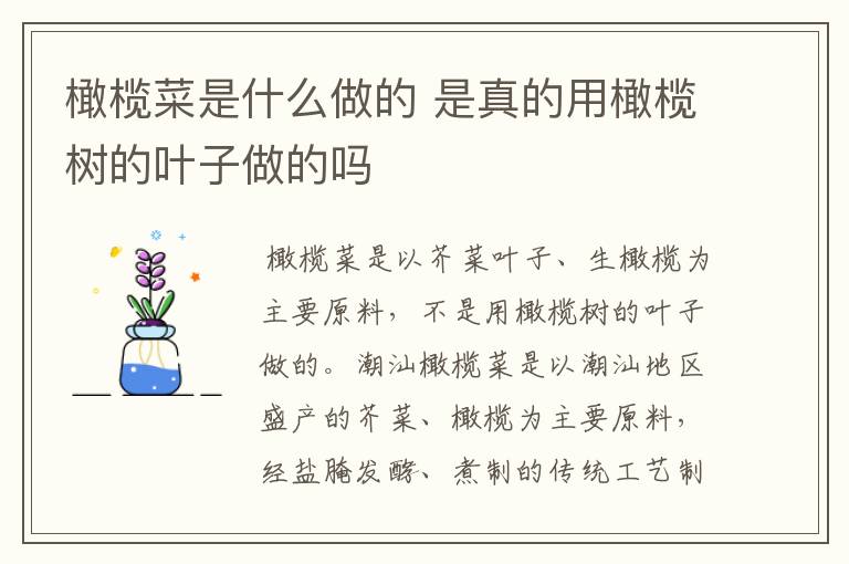 橄榄菜是什么做的 是真的用橄榄树的叶子做的吗