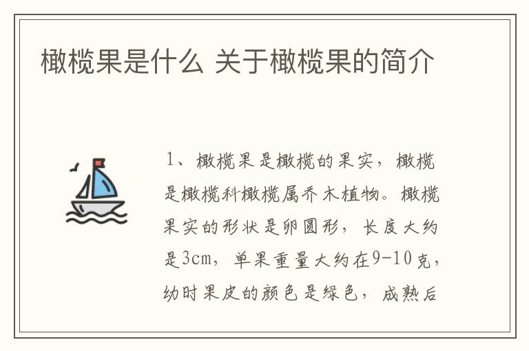 橄榄果是什么 关于橄榄果的简介