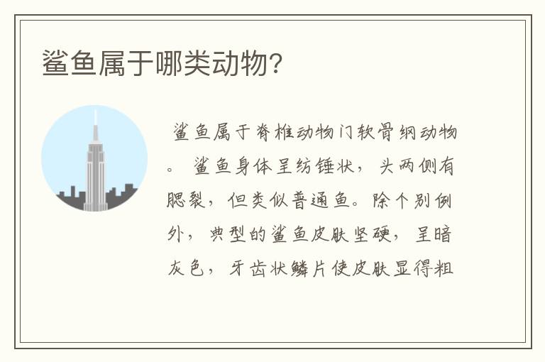 鲨鱼属于哪类动物?