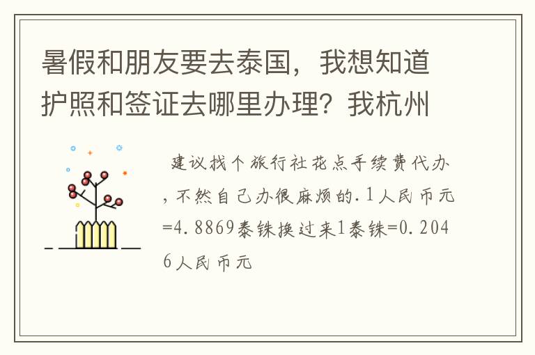 暑假和朋友要去泰国，我想知道护照和签证去哪里办理？我杭州的，不跟旅游团走，去泰国旅游要注意什么，