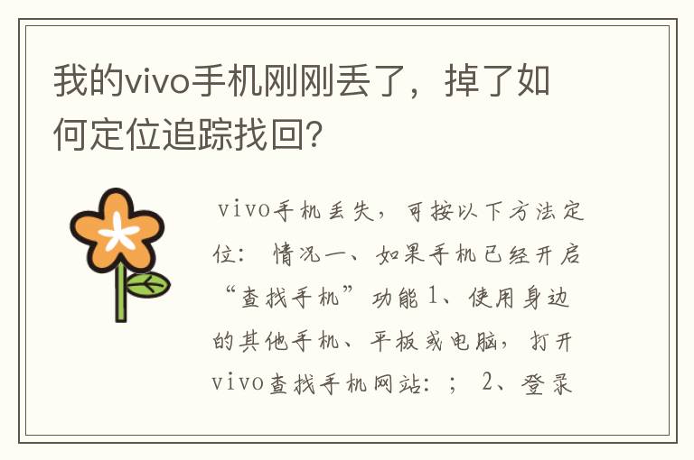 我的vivo手机刚刚丢了，掉了如何定位追踪找回？
