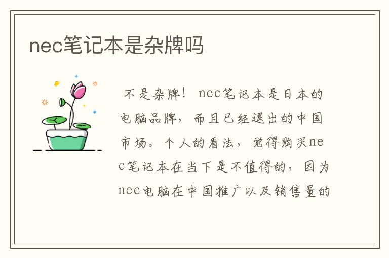 nec笔记本是杂牌吗
