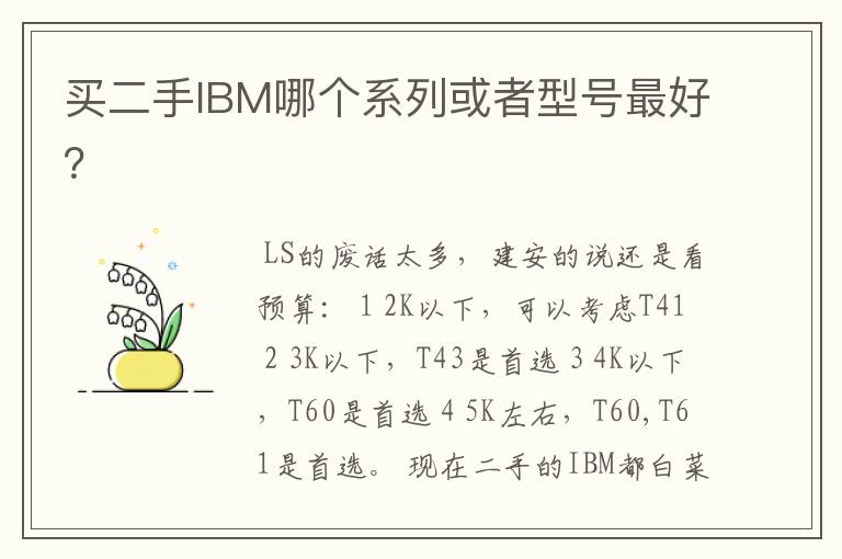 买二手IBM哪个系列或者型号最好？
