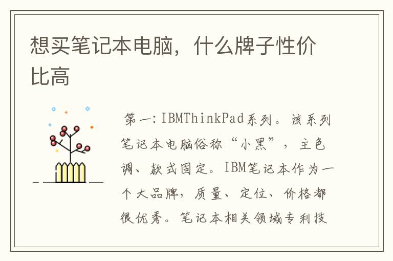 想买笔记本电脑,什么牌子性价比高
