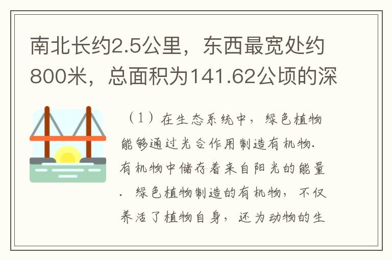 南北长约2.5公里，东西最宽处约800米，总面积为141.62公顷的深圳“绿肺”--中心公园，是深圳靓丽的风景．