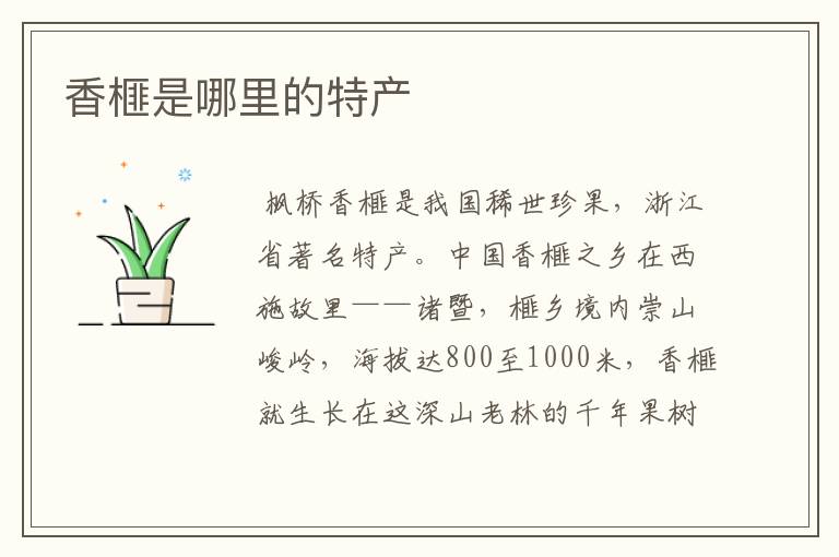 香榧是哪里的特产