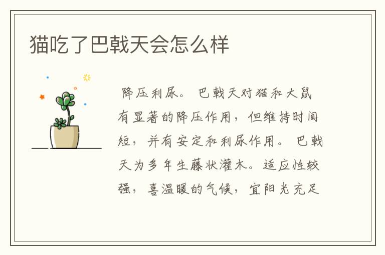 猫吃了巴戟天会怎么样