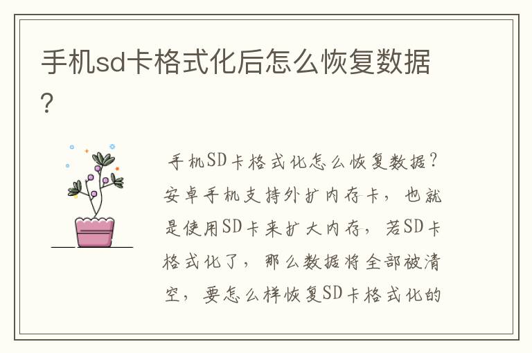 手机sd卡格式化后怎么恢复数据？