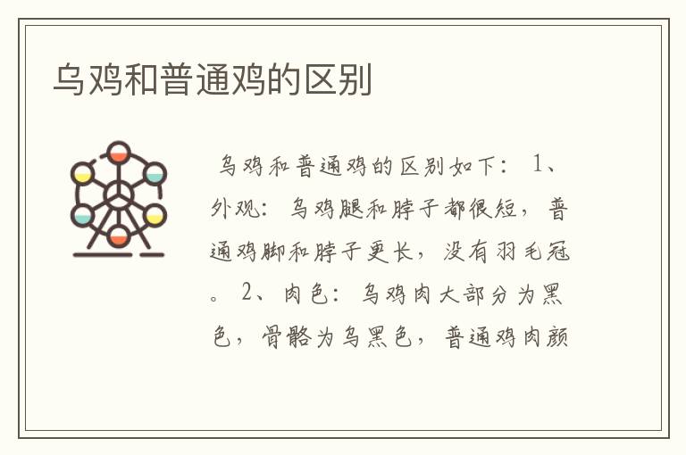 乌鸡和普通鸡的区别