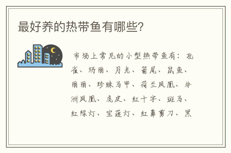 最好养的热带鱼有哪些？