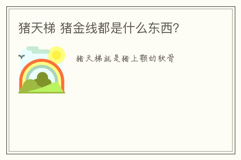 猪天梯 猪金线都是什么东西？