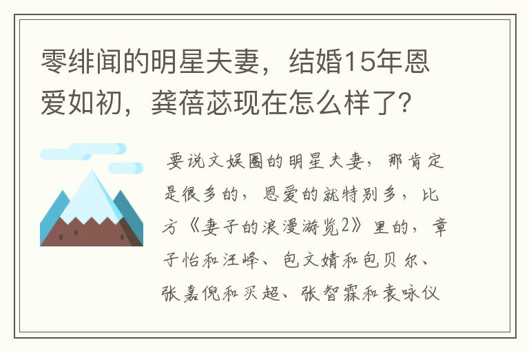 零绯闻的明星夫妻，结婚15年恩爱如初，龚蓓苾现在怎么样了？