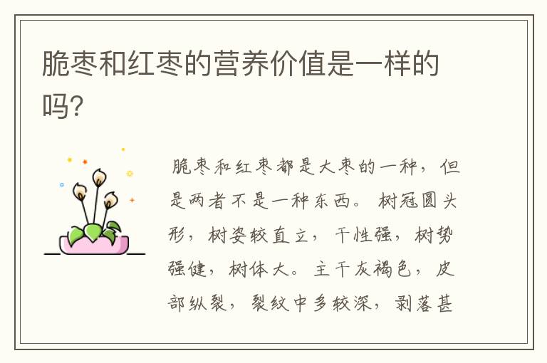 脆枣和红枣的营养价值是一样的吗?