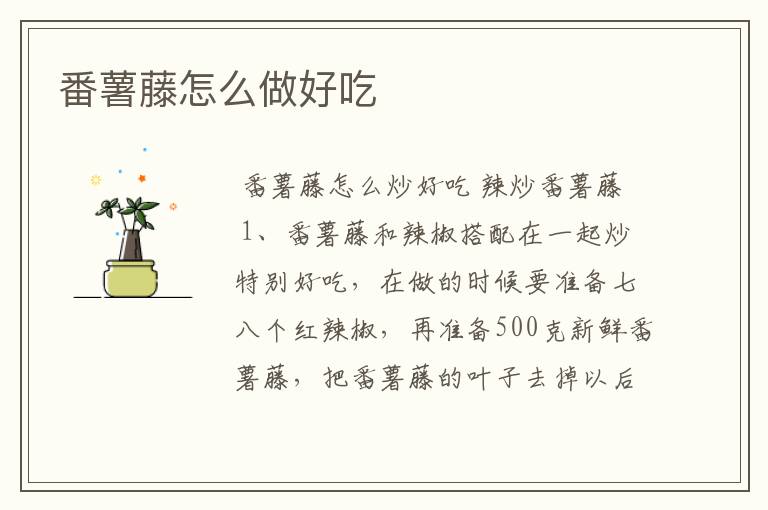 番薯藤怎么做好吃