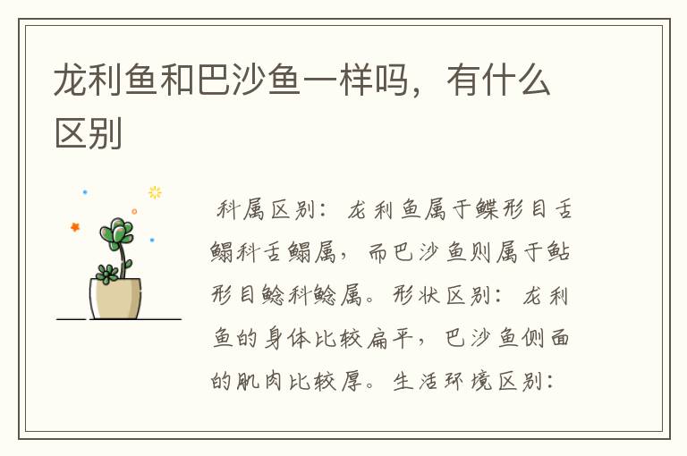 龙利鱼和巴沙鱼一样吗，有什么区别