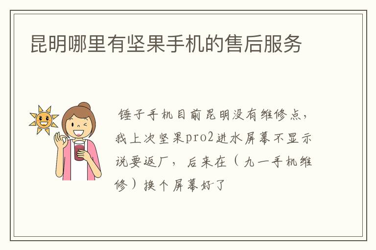 昆明哪里有坚果手机的售后服务