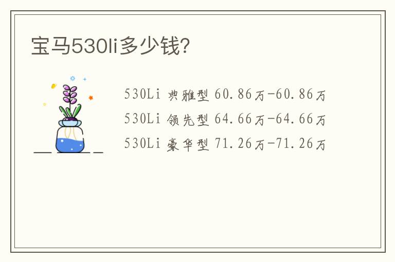 宝马530li多少钱？