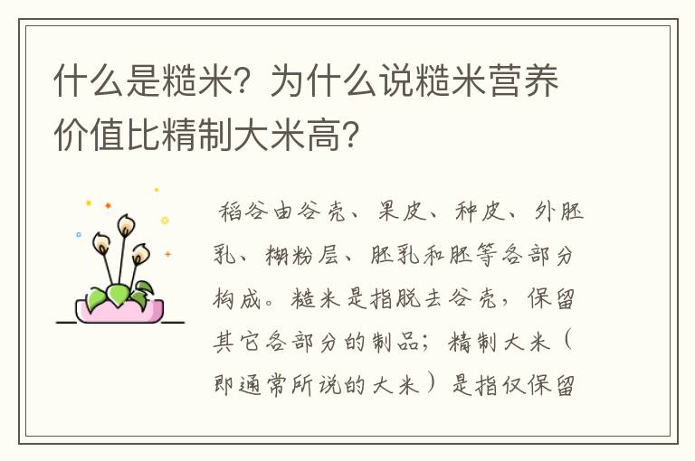什么是糙米?为什么说糙米营养价值比精制大米高?