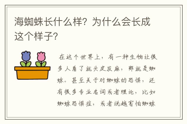 海蜘蛛长什么样？为什么会长成这个样子？