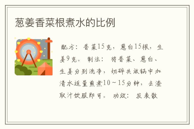 葱姜香菜根煮水的比例