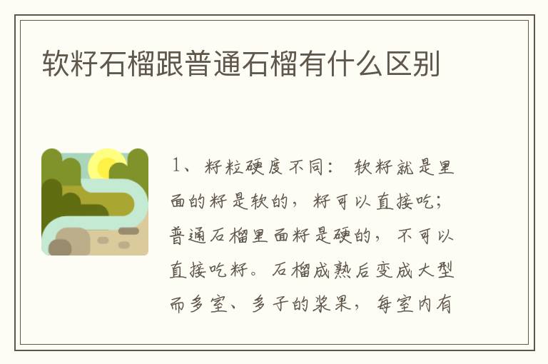 软籽石榴跟普通石榴有什么区别