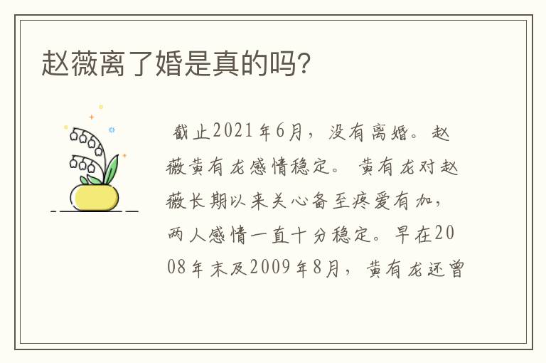 赵薇离了婚是真的吗?