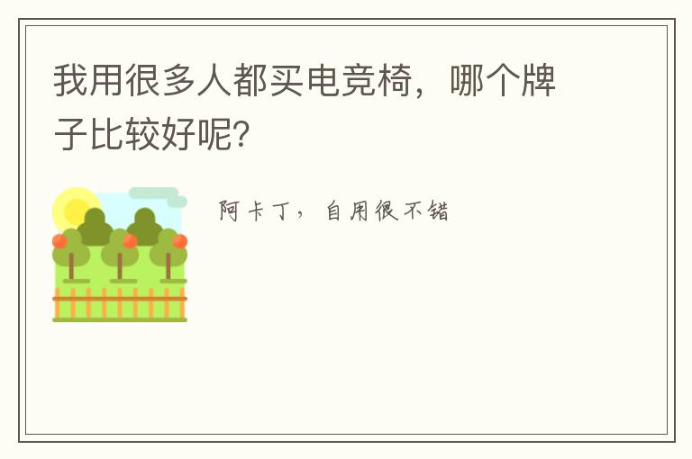我用很多人都买电竞椅,哪个牌子比较好呢?