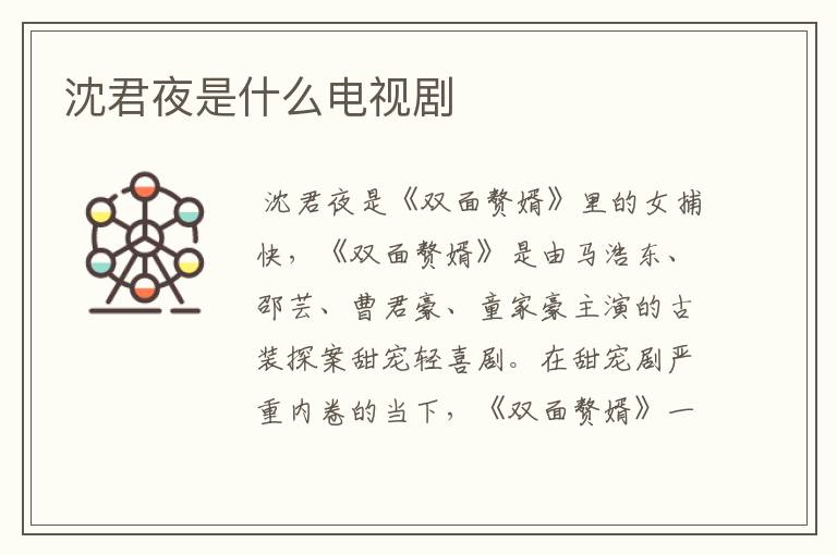 沈君夜是什么电视剧